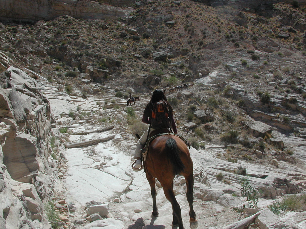 DSCN3703.JPG