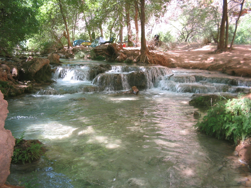 IMG_2613.JPG