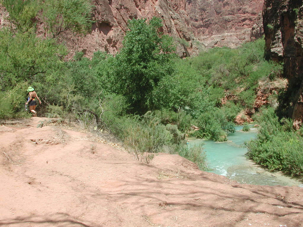 DSCN3819.JPG