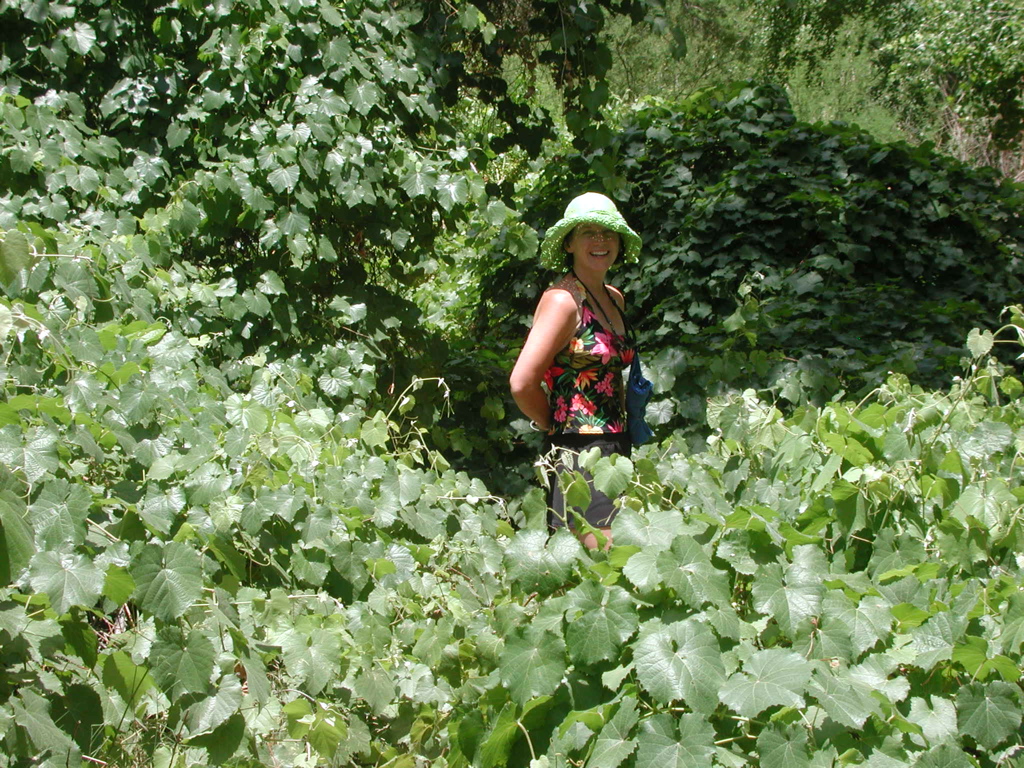 DSCN3822.JPG