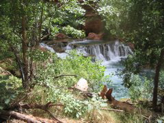 IMG_2722.JPG