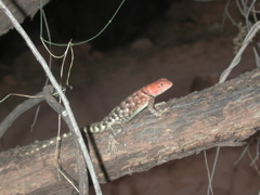 DSCN3859.JPG