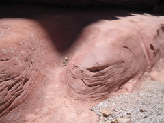 IMG_2508.JPG