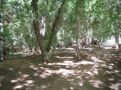 IMG_2771.JPG