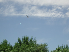 DSCN3887.JPG