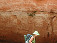DSCN3723.JPG