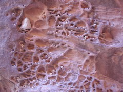 DSCN3726.JPG