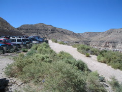 IMG_2483.JPG