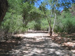 IMG_2520.JPG