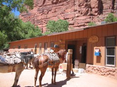 IMG_2557.JPG