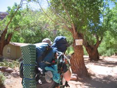 IMG_2574.JPG