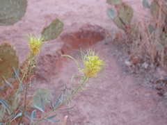 DSCN3771.JPG