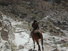 DSCN3703.JPG