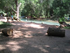 IMG_2604.JPG