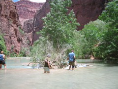 IMG_2672.JPG