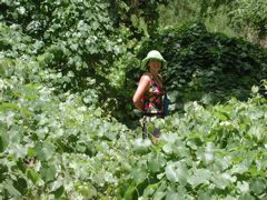 DSCN3822.JPG