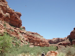 DSCN3715.JPG