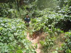 IMG_2682.JPG