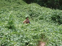 DSCN3824.JPG