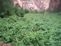 IMG_2689.JPG