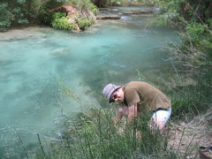 IMG_2698.JPG
