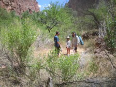 IMG_2704.JPG