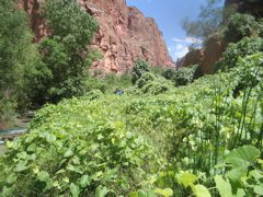 IMG_2706.JPG
