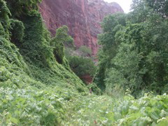 DSCN3831.JPG
