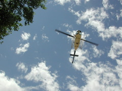 DSCN3963.JPG