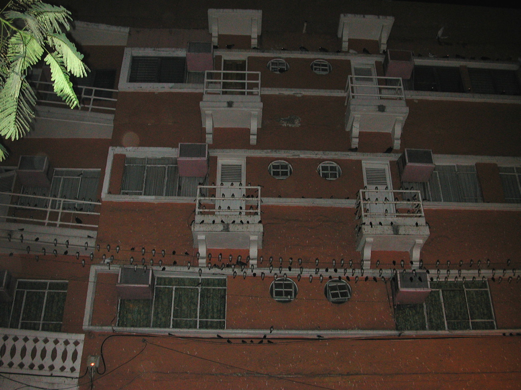 DSCN1450-0036