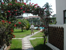 DSCN1450-0013