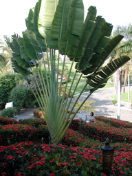 DSCN1450-0054