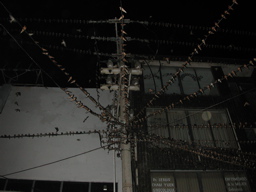 DSCN1450-0038