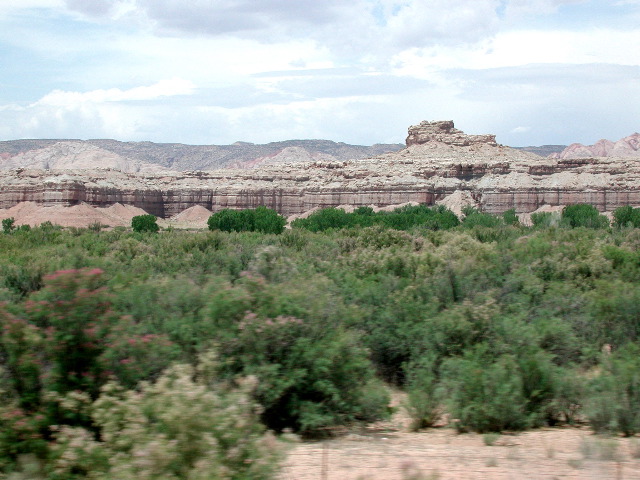 DSCN5949.JPG