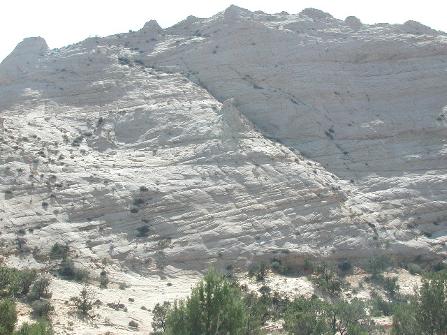 DSCN5981.JPG