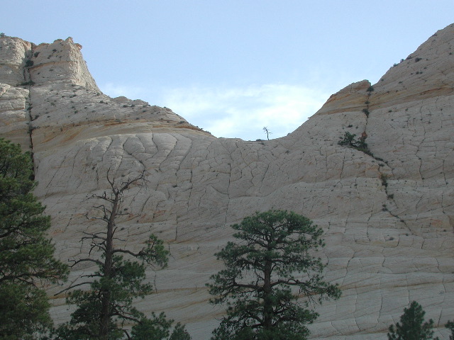 DSCN5984.JPG