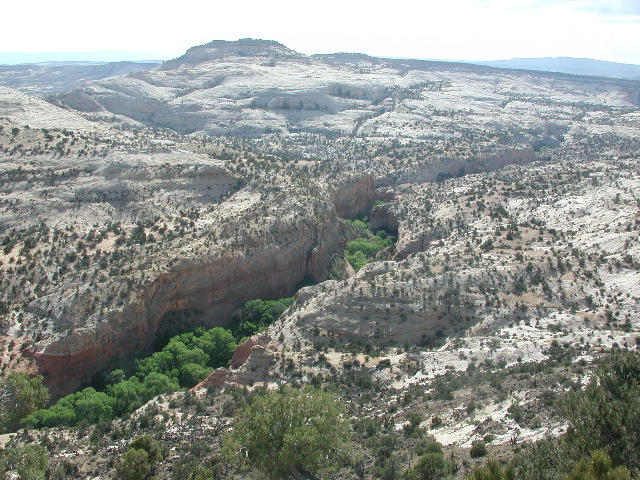 DSCN5987.JPG