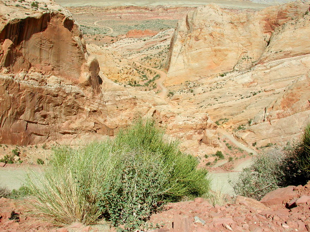 DSCN5974.JPG