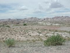 DSCN5946.JPG