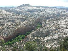 DSCN5987.JPG