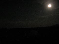 DSCN5993.JPG