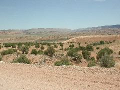 DSCN5967.JPG