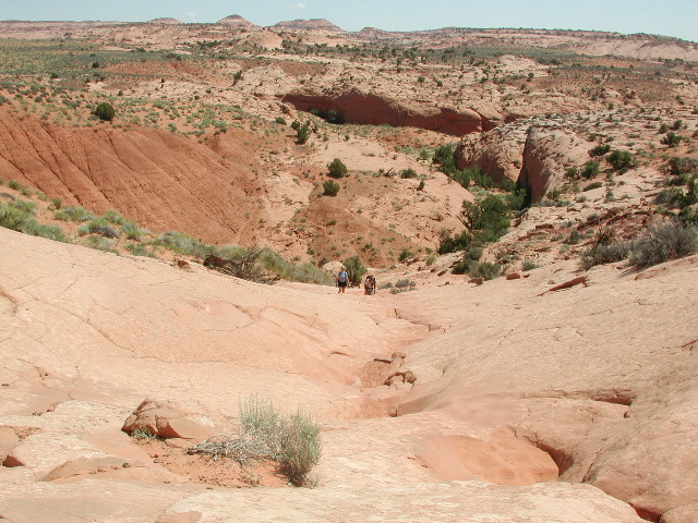 DSCN5997.JPG