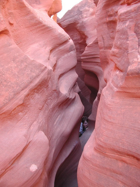 DSCN6009.JPG