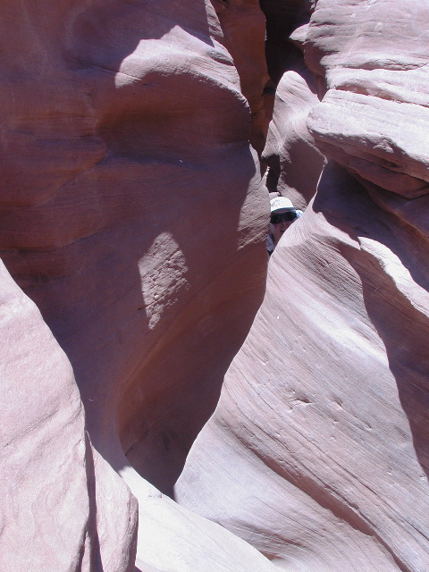 DSCN6019.JPG