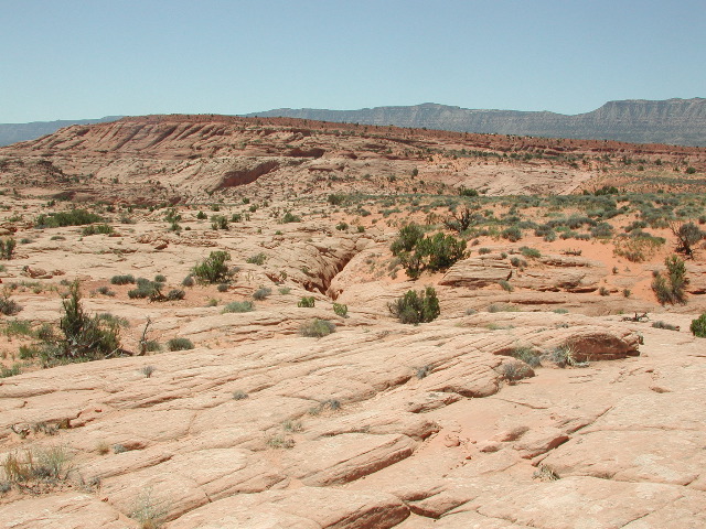 DSCN6025.JPG