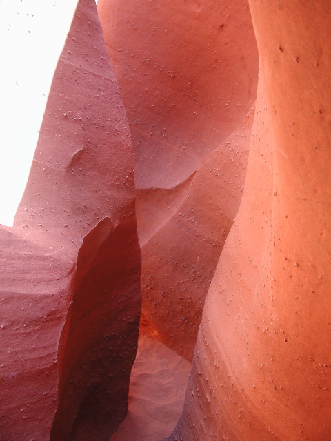 DSCN6044.JPG