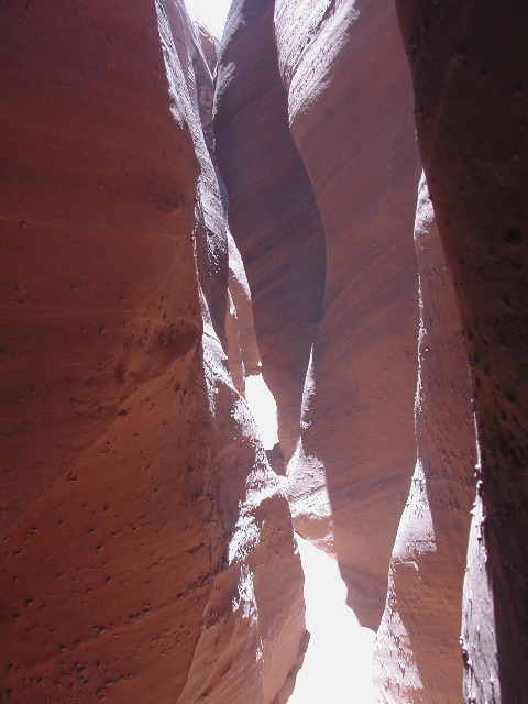 DSCN6046.JPG