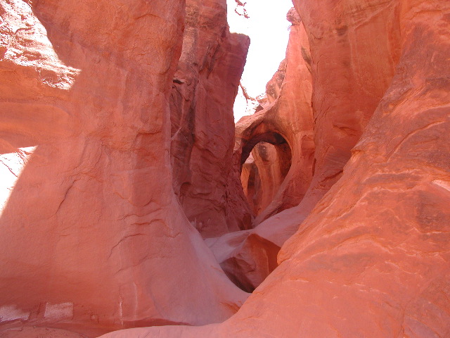 DSCN6002.JPG
