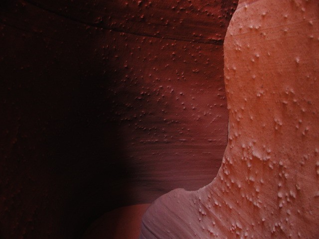DSCN6053.JPG